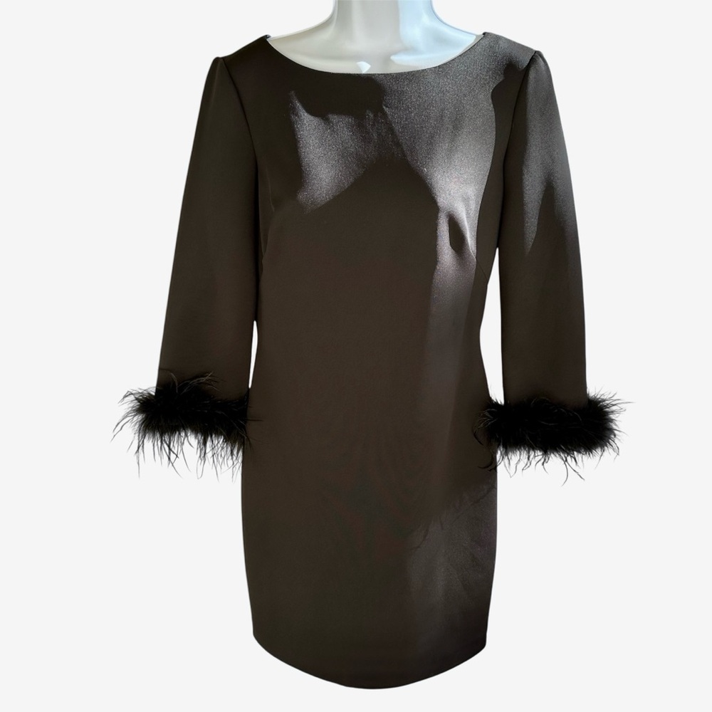 Eliza J Black Dress with Feather Accents